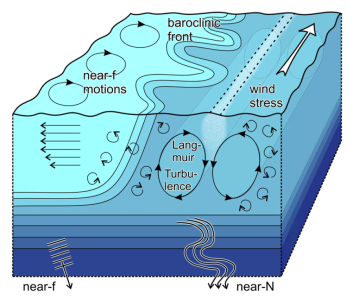 Surface-layer processes in the vicinity of a front
